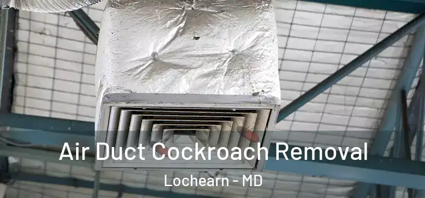  Air Duct Cockroach Removal Lochearn - MD