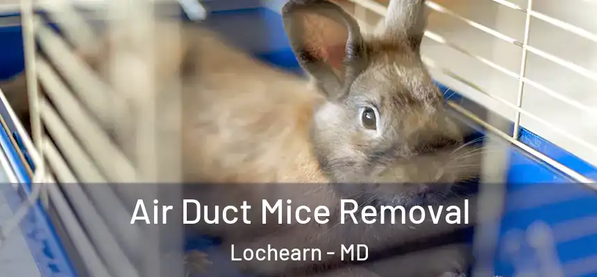 Air Duct Mice Removal Lochearn - MD