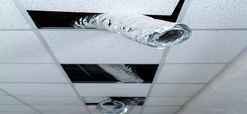 Our Air Duct Pet Hair Removal Services in Lochearn, MD