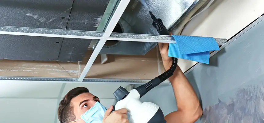 Our Air Duct Rodent Removal Services in Lochearn, MD