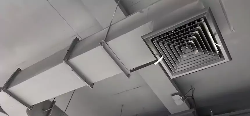 Restorative Allergy Relief Vent Cleaning – Coil, Blower & Housing Detail in Lochearn