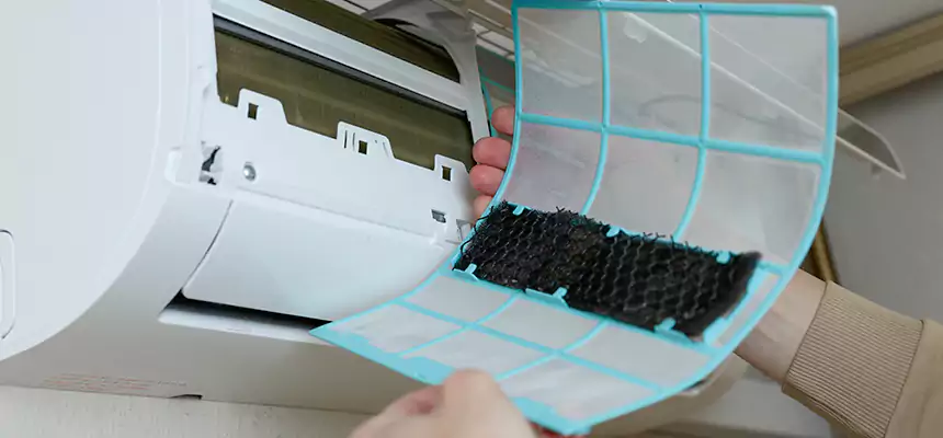 Gentle Ductwork Odor-Control Pet Dander Duct Cleaning in Lochearn, MD