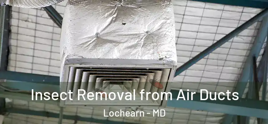 Insect Removal from Air Ducts Lochearn - MD