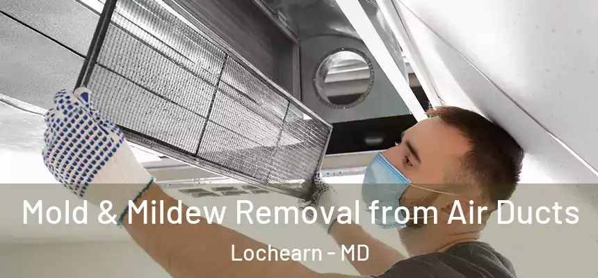  Mold & Mildew Removal from Air Ducts Lochearn - MD