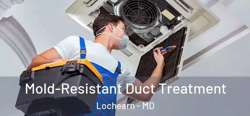 Mold-Resistant Duct Treatment Lochearn - MD