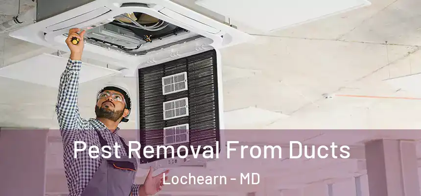Pest Removal From Ducts Lochearn - MD