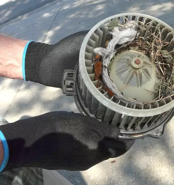 About Air Duct Mice Removal in Lochearn, MD