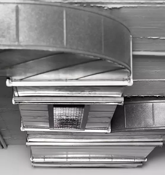 Professional Air Duct Pest Removal in Lochearn, MD