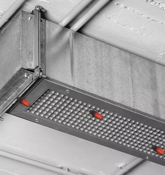 Affordable Insect Removal from Air Ducts in Lochearn, MD