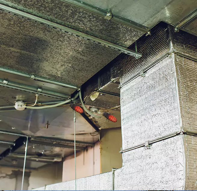 Why Homeowners & Businesses Trust Us in Lochearn, MD?