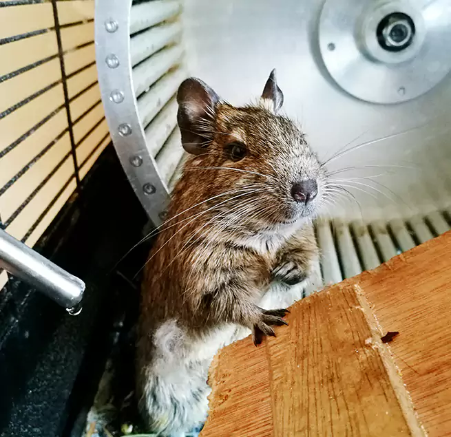 Why Homeowners & Businesses Trust Us Lochearn, MD