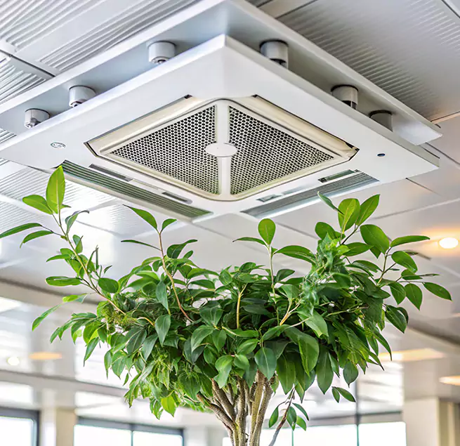 Why Homeowners & Businesses Trust Us in Lochearn, MD